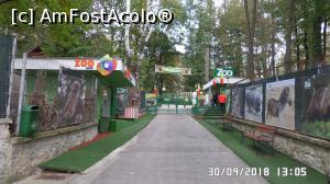 [P02] Grădina zoologică „Ioan Crișan” Reșița.  » foto by ungureanica
 - 
<span class="allrVoted glyphicon glyphicon-heart hidden" id="av1016302"></span>
<a class="m-l-10 hidden" id="sv1016302" onclick="voting_Foto_DelVot(,1016302,24407)" role="button">șterge vot <span class="glyphicon glyphicon-remove"></span></a>
<a id="v91016302" class=" c-red"  onclick="voting_Foto_SetVot(1016302)" role="button"><span class="glyphicon glyphicon-heart-empty"></span> <b>LIKE</b> = Votează poza</a> <img class="hidden"  id="f1016302W9" src="/imagini/loader.gif" border="0" /><span class="AjErrMes hidden" id="e1016302ErM"></span>