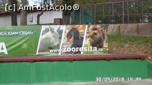 [P41] Grădina zoologică „Ioan Crișan” Reșița.  » foto by ungureanica
 - 
<span class="allrVoted glyphicon glyphicon-heart hidden" id="av1016341"></span>
<a class="m-l-10 hidden" id="sv1016341" onclick="voting_Foto_DelVot(,1016341,24407)" role="button">șterge vot <span class="glyphicon glyphicon-remove"></span></a>
<a id="v91016341" class=" c-red"  onclick="voting_Foto_SetVot(1016341)" role="button"><span class="glyphicon glyphicon-heart-empty"></span> <b>LIKE</b> = Votează poza</a> <img class="hidden"  id="f1016341W9" src="/imagini/loader.gif" border="0" /><span class="AjErrMes hidden" id="e1016341ErM"></span>