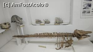 [P30] Museo del Presidio & Museo Marítimo » foto by elenaadina
 - 
<span class="allrVoted glyphicon glyphicon-heart hidden" id="av1523291"></span>
<a class="m-l-10 hidden" id="sv1523291" onclick="voting_Foto_DelVot(,1523291,24560)" role="button">șterge vot <span class="glyphicon glyphicon-remove"></span></a>
<a id="v91523291" class=" c-red"  onclick="voting_Foto_SetVot(1523291)" role="button"><span class="glyphicon glyphicon-heart-empty"></span> <b>LIKE</b> = Votează poza</a> <img class="hidden"  id="f1523291W9" src="/imagini/loader.gif" border="0" /><span class="AjErrMes hidden" id="e1523291ErM"></span>