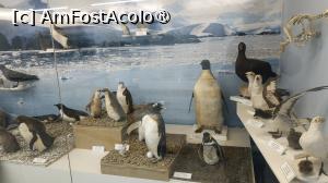 [P31] Museo del Presidio & Museo Marítimo » foto by elenaadina
 - 
<span class="allrVoted glyphicon glyphicon-heart hidden" id="av1523292"></span>
<a class="m-l-10 hidden" id="sv1523292" onclick="voting_Foto_DelVot(,1523292,24560)" role="button">șterge vot <span class="glyphicon glyphicon-remove"></span></a>
<a id="v91523292" class=" c-red"  onclick="voting_Foto_SetVot(1523292)" role="button"><span class="glyphicon glyphicon-heart-empty"></span> <b>LIKE</b> = Votează poza</a> <img class="hidden"  id="f1523292W9" src="/imagini/loader.gif" border="0" /><span class="AjErrMes hidden" id="e1523292ErM"></span>