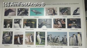 [P32] Museo del Presidio & Museo Marítimo » foto by elenaadina
 - 
<span class="allrVoted glyphicon glyphicon-heart hidden" id="av1523293"></span>
<a class="m-l-10 hidden" id="sv1523293" onclick="voting_Foto_DelVot(,1523293,24560)" role="button">șterge vot <span class="glyphicon glyphicon-remove"></span></a>
<a id="v91523293" class=" c-red"  onclick="voting_Foto_SetVot(1523293)" role="button"><span class="glyphicon glyphicon-heart-empty"></span> <b>LIKE</b> = Votează poza</a> <img class="hidden"  id="f1523293W9" src="/imagini/loader.gif" border="0" /><span class="AjErrMes hidden" id="e1523293ErM"></span>