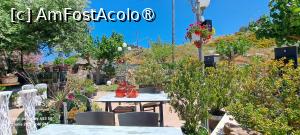[P10] Rotonda Restaurant, pe terasă » foto by irinad
 - 
<span class="allrVoted glyphicon glyphicon-heart hidden" id="av1528166"></span>
<a class="m-l-10 hidden" id="sv1528166" onclick="voting_Foto_DelVot(,1528166,24617)" role="button">șterge vot <span class="glyphicon glyphicon-remove"></span></a>
<a id="v91528166" class=" c-red"  onclick="voting_Foto_SetVot(1528166)" role="button"><span class="glyphicon glyphicon-heart-empty"></span> <b>LIKE</b> = Votează poza</a> <img class="hidden"  id="f1528166W9" src="/imagini/loader.gif" border="0" /><span class="AjErrMes hidden" id="e1528166ErM"></span>