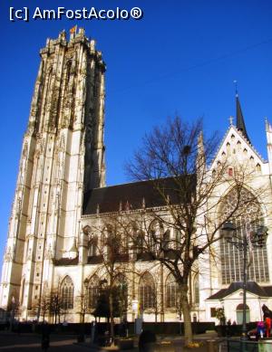 P01 [NOV-2018] Catedrala St. Rumbold, dedicata patronului orasului