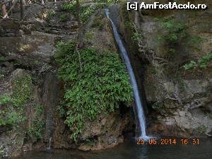 P06 [JUN-2014] Valea Fluturilor: o cascadă ce cade în apele pârâului, iar alături fluturi ce se odihnesc pe frunziș. 