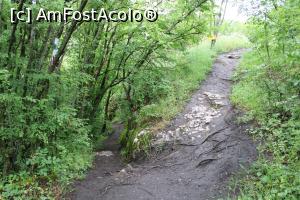 [P27] Dryanovo, Canionul Dryanovo, traseul cu bandă verde merge mai departe spre Bojentsi, noi am mers spre stânga la Banca Îndrăgostiților » foto by mprofeanu
 - 
<span class="allrVoted glyphicon glyphicon-heart hidden" id="av1252506"></span>
<a class="m-l-10 hidden" id="sv1252506" onclick="voting_Foto_DelVot(,1252506,25162)" role="button">șterge vot <span class="glyphicon glyphicon-remove"></span></a>
<a id="v91252506" class=" c-red"  onclick="voting_Foto_SetVot(1252506)" role="button"><span class="glyphicon glyphicon-heart-empty"></span> <b>LIKE</b> = Votează poza</a> <img class="hidden"  id="f1252506W9" src="/imagini/loader.gif" border="0" /><span class="AjErrMes hidden" id="e1252506ErM"></span>