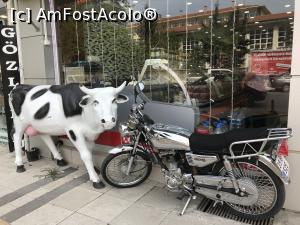 [P17] Prin Kirklareli » foto by krisstinna
 - 
<span class="allrVoted glyphicon glyphicon-heart hidden" id="av1073509"></span>
<a class="m-l-10 hidden" id="sv1073509" onclick="voting_Foto_DelVot(,1073509,25184)" role="button">șterge vot <span class="glyphicon glyphicon-remove"></span></a>
<a id="v91073509" class=" c-red"  onclick="voting_Foto_SetVot(1073509)" role="button"><span class="glyphicon glyphicon-heart-empty"></span> <b>LIKE</b> = Votează poza</a> <img class="hidden"  id="f1073509W9" src="/imagini/loader.gif" border="0" /><span class="AjErrMes hidden" id="e1073509ErM"></span>