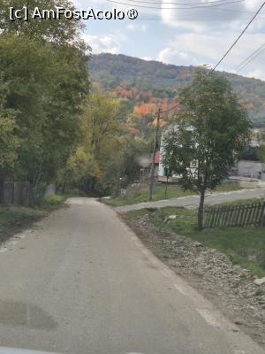 [P13] Pădurea și drumul spre pensiune » foto by adrianaglogo
 - 
<span class="allrVoted glyphicon glyphicon-heart hidden" id="av1510354"></span>
<a class="m-l-10 hidden" id="sv1510354" onclick="voting_Foto_DelVot(,1510354,25212)" role="button">șterge vot <span class="glyphicon glyphicon-remove"></span></a>
<a id="v91510354" class=" c-red"  onclick="voting_Foto_SetVot(1510354)" role="button"><span class="glyphicon glyphicon-heart-empty"></span> <b>LIKE</b> = Votează poza</a> <img class="hidden"  id="f1510354W9" src="/imagini/loader.gif" border="0" /><span class="AjErrMes hidden" id="e1510354ErM"></span>