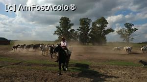 [P02] Ferma Santa Susana » foto by elenaadina
 - 
<span class="allrVoted glyphicon glyphicon-heart hidden" id="av1519359"></span>
<a class="m-l-10 hidden" id="sv1519359" onclick="voting_Foto_DelVot(,1519359,25466)" role="button">șterge vot <span class="glyphicon glyphicon-remove"></span></a>
<a id="v91519359" class=" c-red"  onclick="voting_Foto_SetVot(1519359)" role="button"><span class="glyphicon glyphicon-heart-empty"></span> <b>LIKE</b> = Votează poza</a> <img class="hidden"  id="f1519359W9" src="/imagini/loader.gif" border="0" /><span class="AjErrMes hidden" id="e1519359ErM"></span>