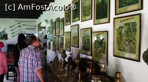 [P21]  -- <small>// FĂRĂ DESCRIERE</small> » foto by elenaadina
 - 
<span class="allrVoted glyphicon glyphicon-heart hidden" id="av1519378"></span>
<a class="m-l-10 hidden" id="sv1519378" onclick="voting_Foto_DelVot(,1519378,25466)" role="button">șterge vot <span class="glyphicon glyphicon-remove"></span></a>
<a id="v91519378" class=" c-red"  onclick="voting_Foto_SetVot(1519378)" role="button"><span class="glyphicon glyphicon-heart-empty"></span> <b>LIKE</b> = Votează poza</a> <img class="hidden"  id="f1519378W9" src="/imagini/loader.gif" border="0" /><span class="AjErrMes hidden" id="e1519378ErM"></span>