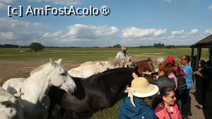 [P42]  -- <small>// FĂRĂ DESCRIERE</small> » foto by elenaadina
 - 
<span class="allrVoted glyphicon glyphicon-heart hidden" id="av1519399"></span>
<a class="m-l-10 hidden" id="sv1519399" onclick="voting_Foto_DelVot(,1519399,25466)" role="button">șterge vot <span class="glyphicon glyphicon-remove"></span></a>
<a id="v91519399" class=" c-red"  onclick="voting_Foto_SetVot(1519399)" role="button"><span class="glyphicon glyphicon-heart-empty"></span> <b>LIKE</b> = Votează poza</a> <img class="hidden"  id="f1519399W9" src="/imagini/loader.gif" border="0" /><span class="AjErrMes hidden" id="e1519399ErM"></span>