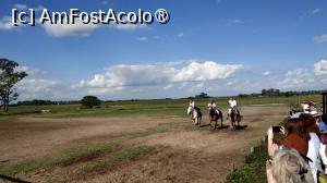 [P45]  -- <small>// FĂRĂ DESCRIERE</small> » foto by elenaadina
 - 
<span class="allrVoted glyphicon glyphicon-heart hidden" id="av1519402"></span>
<a class="m-l-10 hidden" id="sv1519402" onclick="voting_Foto_DelVot(,1519402,25466)" role="button">șterge vot <span class="glyphicon glyphicon-remove"></span></a>
<a id="v91519402" class=" c-red"  onclick="voting_Foto_SetVot(1519402)" role="button"><span class="glyphicon glyphicon-heart-empty"></span> <b>LIKE</b> = Votează poza</a> <img class="hidden"  id="f1519402W9" src="/imagini/loader.gif" border="0" /><span class="AjErrMes hidden" id="e1519402ErM"></span>