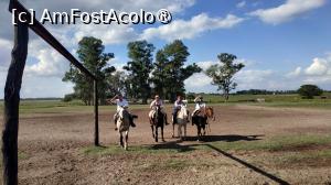 [P48]  -- <small>// FĂRĂ DESCRIERE</small> » foto by elenaadina
 - 
<span class="allrVoted glyphicon glyphicon-heart hidden" id="av1519405"></span>
<a class="m-l-10 hidden" id="sv1519405" onclick="voting_Foto_DelVot(,1519405,25466)" role="button">șterge vot <span class="glyphicon glyphicon-remove"></span></a>
<a id="v91519405" class=" c-red"  onclick="voting_Foto_SetVot(1519405)" role="button"><span class="glyphicon glyphicon-heart-empty"></span> <b>LIKE</b> = Votează poza</a> <img class="hidden"  id="f1519405W9" src="/imagini/loader.gif" border="0" /><span class="AjErrMes hidden" id="e1519405ErM"></span>