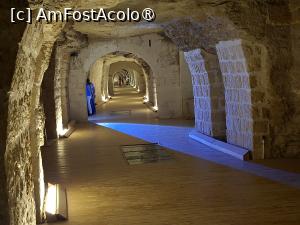 [P19] Saqqara, Serapeum of Saqqara cu cele 24 morminte pentru tauri » foto by mprofeanu
 - 
<span class="allrVoted glyphicon glyphicon-heart hidden" id="av1519279"></span>
<a class="m-l-10 hidden" id="sv1519279" onclick="voting_Foto_DelVot(,1519279,25858)" role="button">șterge vot <span class="glyphicon glyphicon-remove"></span></a>
<a id="v91519279" class=" c-red"  onclick="voting_Foto_SetVot(1519279)" role="button"><span class="glyphicon glyphicon-heart-empty"></span> <b>LIKE</b> = Votează poza</a> <img class="hidden"  id="f1519279W9" src="/imagini/loader.gif" border="0" /><span class="AjErrMes hidden" id="e1519279ErM"></span>