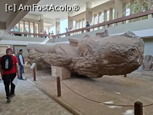[P06] Memphis, Muzeul Mit Rahina, colosala Statuie a lui Ramses al II-lea » foto by mprofeanu
 - 
<span class="allrVoted glyphicon glyphicon-heart hidden" id="av1525988"></span>
<a class="m-l-10 hidden" id="sv1525988" onclick="voting_Foto_DelVot(,1525988,25858)" role="button">șterge vot <span class="glyphicon glyphicon-remove"></span></a>
<a id="v91525988" class=" c-red"  onclick="voting_Foto_SetVot(1525988)" role="button"><span class="glyphicon glyphicon-heart-empty"></span> <b>LIKE</b> = Votează poza</a> <img class="hidden"  id="f1525988W9" src="/imagini/loader.gif" border="0" /><span class="AjErrMes hidden" id="e1525988ErM"></span>