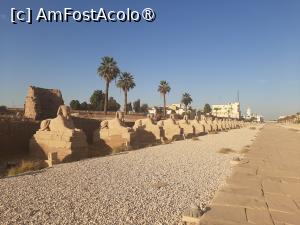 P47 [FEB-2024] Templul Luxor