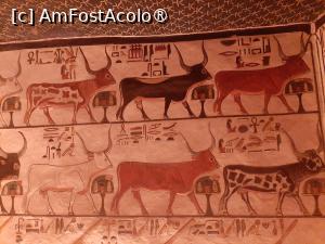 P13 [FEB-2024] Mormântul lui Nefertari
