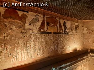 P08 [FEB-2024] Mormântul lui Nefertari