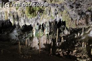 [P23] Peștera Snejanka, Pădure de stalagmite în Sala Mare, despre tavan ce să mai spun.... » foto by mprofeanu
 - 
<span class="allrVoted glyphicon glyphicon-heart hidden" id="av1255208"></span>
<a class="m-l-10 hidden" id="sv1255208" onclick="voting_Foto_DelVot(,1255208,25928)" role="button">șterge vot <span class="glyphicon glyphicon-remove"></span></a>
<a id="v91255208" class=" c-red"  onclick="voting_Foto_SetVot(1255208)" role="button"><span class="glyphicon glyphicon-heart-empty"></span> <b>LIKE</b> = Votează poza</a> <img class="hidden"  id="f1255208W9" src="/imagini/loader.gif" border="0" /><span class="AjErrMes hidden" id="e1255208ErM"></span>