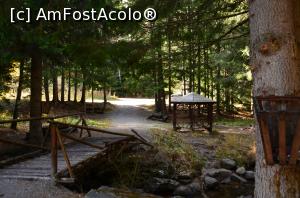 [P16] Excursie pe Vitoșa - din loc în loc, spații pentru odihnă și picnic » foto by Dragoș_MD
 - 
<span class="allrVoted glyphicon glyphicon-heart hidden" id="av1142984"></span>
<a class="m-l-10 hidden" id="sv1142984" onclick="voting_Foto_DelVot(,1142984,26117)" role="button">șterge vot <span class="glyphicon glyphicon-remove"></span></a>
<a id="v91142984" class=" c-red"  onclick="voting_Foto_SetVot(1142984)" role="button"><span class="glyphicon glyphicon-heart-empty"></span> <b>LIKE</b> = Votează poza</a> <img class="hidden"  id="f1142984W9" src="/imagini/loader.gif" border="0" /><span class="AjErrMes hidden" id="e1142984ErM"></span>