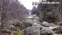 P09 [APR-2013] Zlatnite Mostove (The Golden Bridges) numit și ''râul de piatră'' (începe la altitudinea de cca 1350m până la 1500m), fiind rezultată în urma unui fenomen natural. Galbenul mai pe la vară... 