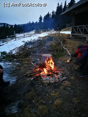 [P20] In jurul focului » foto by Mika
 - 
<span class="allrVoted glyphicon glyphicon-heart hidden" id="av1149987"></span>
<a class="m-l-10 hidden" id="sv1149987" onclick="voting_Foto_DelVot(,1149987,26205)" role="button">șterge vot <span class="glyphicon glyphicon-remove"></span></a>
<a id="v91149987" class=" c-red"  onclick="voting_Foto_SetVot(1149987)" role="button"><span class="glyphicon glyphicon-heart-empty"></span> <b>LIKE</b> = Votează poza</a> <img class="hidden"  id="f1149987W9" src="/imagini/loader.gif" border="0" /><span class="AjErrMes hidden" id="e1149987ErM"></span>