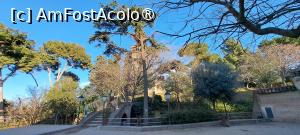 [P55] La punctul de belvedere » foto by irinad
 - 
<span class="allrVoted glyphicon glyphicon-heart hidden" id="av1412404"></span>
<a class="m-l-10 hidden" id="sv1412404" onclick="voting_Foto_DelVot(,1412404,26218)" role="button">șterge vot <span class="glyphicon glyphicon-remove"></span></a>
<a id="v91412404" class=" c-red"  onclick="voting_Foto_SetVot(1412404)" role="button"><span class="glyphicon glyphicon-heart-empty"></span> <b>LIKE</b> = Votează poza</a> <img class="hidden"  id="f1412404W9" src="/imagini/loader.gif" border="0" /><span class="AjErrMes hidden" id="e1412404ErM"></span>