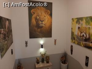 [P34] Das Zoo Restaurant » foto by adso
 - 
<span class="allrVoted glyphicon glyphicon-heart hidden" id="av1518935"></span>
<a class="m-l-10 hidden" id="sv1518935" onclick="voting_Foto_DelVot(,1518935,26283)" role="button">șterge vot <span class="glyphicon glyphicon-remove"></span></a>
<a id="v91518935" class=" c-red"  onclick="voting_Foto_SetVot(1518935)" role="button"><span class="glyphicon glyphicon-heart-empty"></span> <b>LIKE</b> = Votează poza</a> <img class="hidden"  id="f1518935W9" src="/imagini/loader.gif" border="0" /><span class="AjErrMes hidden" id="e1518935ErM"></span>
