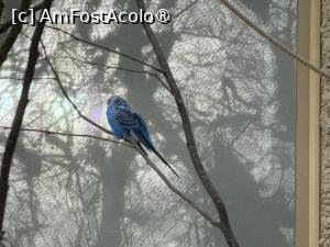 [P42] Grădina Zoologică din Salzburg » foto by adso
 - 
<span class="allrVoted glyphicon glyphicon-heart hidden" id="av1518943"></span>
<a class="m-l-10 hidden" id="sv1518943" onclick="voting_Foto_DelVot(,1518943,26283)" role="button">șterge vot <span class="glyphicon glyphicon-remove"></span></a>
<a id="v91518943" class=" c-red"  onclick="voting_Foto_SetVot(1518943)" role="button"><span class="glyphicon glyphicon-heart-empty"></span> <b>LIKE</b> = Votează poza</a> <img class="hidden"  id="f1518943W9" src="/imagini/loader.gif" border="0" /><span class="AjErrMes hidden" id="e1518943ErM"></span>