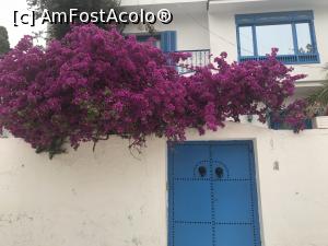 P06 [JUN-2019] Sidi Bou Saïd – frumosul orăşel alb – albastru din Tunisia