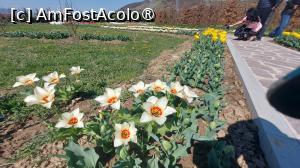 [P03]  -- <small>// FĂRĂ DESCRIERE</small> » foto by hd88gsg
 - 
<span class="allrVoted glyphicon glyphicon-heart hidden" id="av1523781"></span>
<a class="m-l-10 hidden" id="sv1523781" onclick="voting_Foto_DelVot(,1523781,26461)" role="button">șterge vot <span class="glyphicon glyphicon-remove"></span></a>
<a id="v91523781" class=" c-red"  onclick="voting_Foto_SetVot(1523781)" role="button"><span class="glyphicon glyphicon-heart-empty"></span> <b>LIKE</b> = Votează poza</a> <img class="hidden"  id="f1523781W9" src="/imagini/loader.gif" border="0" /><span class="AjErrMes hidden" id="e1523781ErM"></span>