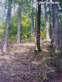 P15 [AUG-2004] in a doua parte a traseului a trebuit sa urmarim marcajele de pe copaci
