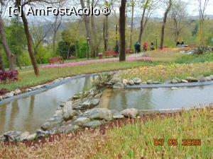 [P48] Parcul Emirgan Istanbul » foto by Yolanda
 - 
<span class="allrVoted glyphicon glyphicon-heart hidden" id="av1528849"></span>
<a class="m-l-10 hidden" id="sv1528849" onclick="voting_Foto_DelVot(,1528849,27088)" role="button">șterge vot <span class="glyphicon glyphicon-remove"></span></a>
<a id="v91528849" class=" c-red"  onclick="voting_Foto_SetVot(1528849)" role="button"><span class="glyphicon glyphicon-heart-empty"></span> <b>LIKE</b> = Votează poza</a> <img class="hidden"  id="f1528849W9" src="/imagini/loader.gif" border="0" /><span class="AjErrMes hidden" id="e1528849ErM"></span>