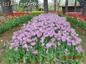 [P59] Parcul Emirgan Istanbul » foto by Yolanda
 - 
<span class="allrVoted glyphicon glyphicon-heart hidden" id="av1528860"></span>
<a class="m-l-10 hidden" id="sv1528860" onclick="voting_Foto_DelVot(,1528860,27088)" role="button">șterge vot <span class="glyphicon glyphicon-remove"></span></a>
<a id="v91528860" class=" c-red"  onclick="voting_Foto_SetVot(1528860)" role="button"><span class="glyphicon glyphicon-heart-empty"></span> <b>LIKE</b> = Votează poza</a> <img class="hidden"  id="f1528860W9" src="/imagini/loader.gif" border="0" /><span class="AjErrMes hidden" id="e1528860ErM"></span>