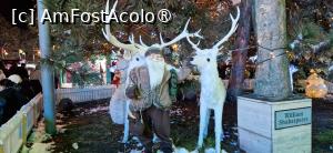 [P33] 33. Un decor tare simpatic! » foto by doinafil
 - 
<span class="allrVoted glyphicon glyphicon-heart hidden" id="av1513347"></span>
<a class="m-l-10 hidden" id="sv1513347" onclick="voting_Foto_DelVot(,1513347,27805)" role="button">șterge vot <span class="glyphicon glyphicon-remove"></span></a>
<a id="v91513347" class=" c-red"  onclick="voting_Foto_SetVot(1513347)" role="button"><span class="glyphicon glyphicon-heart-empty"></span> <b>LIKE</b> = Votează poza</a> <img class="hidden"  id="f1513347W9" src="/imagini/loader.gif" border="0" /><span class="AjErrMes hidden" id="e1513347ErM"></span>