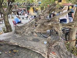 [P53] La pas prin Hoi An; sculptarea lemnului este o altă tradiție a locului » foto by crismis
 - 
<span class="allrVoted glyphicon glyphicon-heart hidden" id="av1542900"></span>
<a class="m-l-10 hidden" id="sv1542900" onclick="voting_Foto_DelVot(,1542900,27864)" role="button">șterge vot <span class="glyphicon glyphicon-remove"></span></a>
<a id="v91542900" class=" c-red"  onclick="voting_Foto_SetVot(1542900)" role="button"><span class="glyphicon glyphicon-heart-empty"></span> <b>LIKE</b> = Votează poza</a> <img class="hidden"  id="f1542900W9" src="/imagini/loader.gif" border="0" /><span class="AjErrMes hidden" id="e1542900ErM"></span>