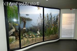 [P23] Diorama dedicată Deltei Dunării » foto by Claudiu U.
 - 
<span class="allrVoted glyphicon glyphicon-heart hidden" id="av1548659"></span>
<a class="m-l-10 hidden" id="sv1548659" onclick="voting_Foto_DelVot(,1548659,27913)" role="button">șterge vot <span class="glyphicon glyphicon-remove"></span></a>
<a id="v91548659" class=" c-red"  onclick="voting_Foto_SetVot(1548659)" role="button"><span class="glyphicon glyphicon-heart-empty"></span> <b>LIKE</b> = Votează poza</a> <img class="hidden"  id="f1548659W9" src="/imagini/loader.gif" border="0" /><span class="AjErrMes hidden" id="e1548659ErM"></span>