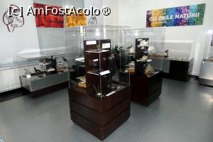 [P35] Expoziția temporară ”Culorile naturii” » foto by Claudiu U.
 - 
<span class="allrVoted glyphicon glyphicon-heart hidden" id="av1548671"></span>
<a class="m-l-10 hidden" id="sv1548671" onclick="voting_Foto_DelVot(,1548671,27913)" role="button">șterge vot <span class="glyphicon glyphicon-remove"></span></a>
<a id="v91548671" class=" c-red"  onclick="voting_Foto_SetVot(1548671)" role="button"><span class="glyphicon glyphicon-heart-empty"></span> <b>LIKE</b> = Votează poza</a> <img class="hidden"  id="f1548671W9" src="/imagini/loader.gif" border="0" /><span class="AjErrMes hidden" id="e1548671ErM"></span>