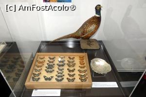 [P37] Expoziția temporară ”Culorile naturii” » foto by Claudiu U.
 - 
<span class="allrVoted glyphicon glyphicon-heart hidden" id="av1548673"></span>
<a class="m-l-10 hidden" id="sv1548673" onclick="voting_Foto_DelVot(,1548673,27913)" role="button">șterge vot <span class="glyphicon glyphicon-remove"></span></a>
<a id="v91548673" class=" c-red"  onclick="voting_Foto_SetVot(1548673)" role="button"><span class="glyphicon glyphicon-heart-empty"></span> <b>LIKE</b> = Votează poza</a> <img class="hidden"  id="f1548673W9" src="/imagini/loader.gif" border="0" /><span class="AjErrMes hidden" id="e1548673ErM"></span>