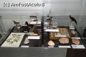 [P39] Expoziția temporară ”Culorile naturii” » foto by Claudiu U.
 - 
<span class="allrVoted glyphicon glyphicon-heart hidden" id="av1548675"></span>
<a class="m-l-10 hidden" id="sv1548675" onclick="voting_Foto_DelVot(,1548675,27913)" role="button">șterge vot <span class="glyphicon glyphicon-remove"></span></a>
<a id="v91548675" class=" c-red"  onclick="voting_Foto_SetVot(1548675)" role="button"><span class="glyphicon glyphicon-heart-empty"></span> <b>LIKE</b> = Votează poza</a> <img class="hidden"  id="f1548675W9" src="/imagini/loader.gif" border="0" /><span class="AjErrMes hidden" id="e1548675ErM"></span>