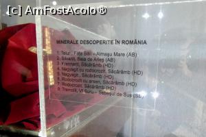 [P04] Așa arătau descrierile de pe fiecare vitrină » foto by Claudiu U.
 - 
<span class="allrVoted glyphicon glyphicon-heart hidden" id="av1548640"></span>
<a class="m-l-10 hidden" id="sv1548640" onclick="voting_Foto_DelVot(,1548640,27913)" role="button">șterge vot <span class="glyphicon glyphicon-remove"></span></a>
<a id="v91548640" class=" c-red"  onclick="voting_Foto_SetVot(1548640)" role="button"><span class="glyphicon glyphicon-heart-empty"></span> <b>LIKE</b> = Votează poza</a> <img class="hidden"  id="f1548640W9" src="/imagini/loader.gif" border="0" /><span class="AjErrMes hidden" id="e1548640ErM"></span>