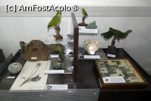 [P41] Expoziția temporară ”Culorile naturii” » foto by Claudiu U.
 - 
<span class="allrVoted glyphicon glyphicon-heart hidden" id="av1548677"></span>
<a class="m-l-10 hidden" id="sv1548677" onclick="voting_Foto_DelVot(,1548677,27913)" role="button">șterge vot <span class="glyphicon glyphicon-remove"></span></a>
<a id="v91548677" class=" c-red"  onclick="voting_Foto_SetVot(1548677)" role="button"><span class="glyphicon glyphicon-heart-empty"></span> <b>LIKE</b> = Votează poza</a> <img class="hidden"  id="f1548677W9" src="/imagini/loader.gif" border="0" /><span class="AjErrMes hidden" id="e1548677ErM"></span>