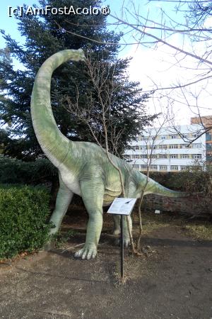 [P44] Una dintre replicile dinozaurilor expuși în curte (un Brachiosaur) » foto by Claudiu U.
 - 
<span class="allrVoted glyphicon glyphicon-heart hidden" id="av1548680"></span>
<a class="m-l-10 hidden" id="sv1548680" onclick="voting_Foto_DelVot(,1548680,27913)" role="button">șterge vot <span class="glyphicon glyphicon-remove"></span></a>
<a id="v91548680" class=" c-red"  onclick="voting_Foto_SetVot(1548680)" role="button"><span class="glyphicon glyphicon-heart-empty"></span> <b>LIKE</b> = Votează poza</a> <img class="hidden"  id="f1548680W9" src="/imagini/loader.gif" border="0" /><span class="AjErrMes hidden" id="e1548680ErM"></span>