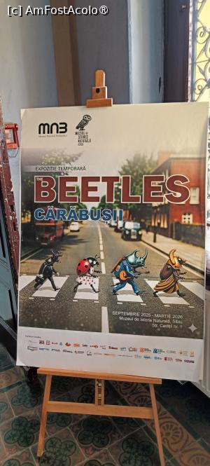 [P18] Afișul expoziției temporare. » foto by tata123 🔱
 - 
<span class="allrVoted glyphicon glyphicon-heart hidden" id="av1517811"></span>
<a class="m-l-10 hidden" id="sv1517811" onclick="voting_Foto_DelVot(,1517811,27913)" role="button">șterge vot <span class="glyphicon glyphicon-remove"></span></a>
<a id="v91517811" class=" c-red"  onclick="voting_Foto_SetVot(1517811)" role="button"><span class="glyphicon glyphicon-heart-empty"></span> <b>LIKE</b> = Votează poza</a> <img class="hidden"  id="f1517811W9" src="/imagini/loader.gif" border="0" /><span class="AjErrMes hidden" id="e1517811ErM"></span>