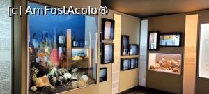 [P06] Zona de nevertebrate. » foto by tata123 🔱
 - 
<span class="allrVoted glyphicon glyphicon-heart hidden" id="av1517799"></span>
<a class="m-l-10 hidden" id="sv1517799" onclick="voting_Foto_DelVot(,1517799,27913)" role="button">șterge vot <span class="glyphicon glyphicon-remove"></span></a>
<a id="v91517799" class=" c-red"  onclick="voting_Foto_SetVot(1517799)" role="button"><span class="glyphicon glyphicon-heart-empty"></span> <b>LIKE</b> = Votează poza</a> <img class="hidden"  id="f1517799W9" src="/imagini/loader.gif" border="0" /><span class="AjErrMes hidden" id="e1517799ErM"></span>