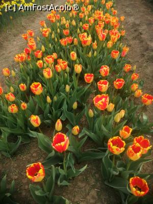 [P05]  -- <small>// FĂRĂ DESCRIERE</small> » foto by Cristian_h
 - 
<span class="allrVoted glyphicon glyphicon-heart hidden" id="av1518636"></span>
<a class="m-l-10 hidden" id="sv1518636" onclick="voting_Foto_DelVot(,1518636,28416)" role="button">șterge vot <span class="glyphicon glyphicon-remove"></span></a>
<a id="v91518636" class=" c-red"  onclick="voting_Foto_SetVot(1518636)" role="button"><span class="glyphicon glyphicon-heart-empty"></span> <b>LIKE</b> = Votează poza</a> <img class="hidden"  id="f1518636W9" src="/imagini/loader.gif" border="0" /><span class="AjErrMes hidden" id="e1518636ErM"></span>