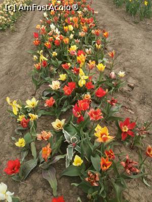 [P06]  -- <small>// FĂRĂ DESCRIERE</small> » foto by Cristian_h
 - 
<span class="allrVoted glyphicon glyphicon-heart hidden" id="av1518637"></span>
<a class="m-l-10 hidden" id="sv1518637" onclick="voting_Foto_DelVot(,1518637,28416)" role="button">șterge vot <span class="glyphicon glyphicon-remove"></span></a>
<a id="v91518637" class=" c-red"  onclick="voting_Foto_SetVot(1518637)" role="button"><span class="glyphicon glyphicon-heart-empty"></span> <b>LIKE</b> = Votează poza</a> <img class="hidden"  id="f1518637W9" src="/imagini/loader.gif" border="0" /><span class="AjErrMes hidden" id="e1518637ErM"></span>