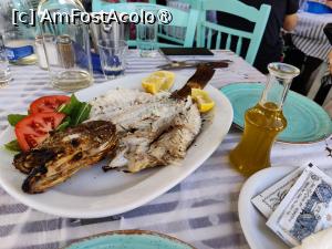 [P25] Duo Tzitzikia st'armirikia, Kini » foto by crismis
 - 
<span class="allrVoted glyphicon glyphicon-heart hidden" id="av1475910"></span>
<a class="m-l-10 hidden" id="sv1475910" onclick="voting_Foto_DelVot(,1475910,28564)" role="button">șterge vot <span class="glyphicon glyphicon-remove"></span></a>
<a id="v91475910" class=" c-red"  onclick="voting_Foto_SetVot(1475910)" role="button"><span class="glyphicon glyphicon-heart-empty"></span> <b>LIKE</b> = Votează poza</a> <img class="hidden"  id="f1475910W9" src="/imagini/loader.gif" border="0" /><span class="AjErrMes hidden" id="e1475910ErM"></span>