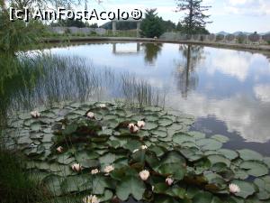 [P29] Ce surpriză! Într-un colț al lacului din curtea mănăstirii sunt nuferi înfloriți!  » foto by Floryn81
 - 
<span class="allrVoted glyphicon glyphicon-heart hidden" id="av759367"></span>
<a class="m-l-10 hidden" id="sv759367" onclick="voting_Foto_DelVot(,759367,28582)" role="button">șterge vot <span class="glyphicon glyphicon-remove"></span></a>
<a id="v9759367" class=" c-red"  onclick="voting_Foto_SetVot(759367)" role="button"><span class="glyphicon glyphicon-heart-empty"></span> <b>LIKE</b> = Votează poza</a> <img class="hidden"  id="f759367W9" src="/imagini/loader.gif" border="0" /><span class="AjErrMes hidden" id="e759367ErM"></span>