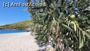 [P07] Plaja Panormos, Skopelos » foto by vlado2
 - 
<span class="allrVoted glyphicon glyphicon-heart hidden" id="av1522374"></span>
<a class="m-l-10 hidden" id="sv1522374" onclick="voting_Foto_DelVot(,1522374,28749)" role="button">șterge vot <span class="glyphicon glyphicon-remove"></span></a>
<a id="v91522374" class=" c-red"  onclick="voting_Foto_SetVot(1522374)" role="button"><span class="glyphicon glyphicon-heart-empty"></span> <b>LIKE</b> = Votează poza</a> <img class="hidden"  id="f1522374W9" src="/imagini/loader.gif" border="0" /><span class="AjErrMes hidden" id="e1522374ErM"></span>