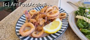 [P32] Taverna Marina, calamari prăjiţi » foto by irinad
 - 
<span class="allrVoted glyphicon glyphicon-heart hidden" id="av1464212"></span>
<a class="m-l-10 hidden" id="sv1464212" onclick="voting_Foto_DelVot(,1464212,28841)" role="button">șterge vot <span class="glyphicon glyphicon-remove"></span></a>
<a id="v91464212" class=" c-red"  onclick="voting_Foto_SetVot(1464212)" role="button"><span class="glyphicon glyphicon-heart-empty"></span> <b>LIKE</b> = Votează poza</a> <img class="hidden"  id="f1464212W9" src="/imagini/loader.gif" border="0" /><span class="AjErrMes hidden" id="e1464212ErM"></span>